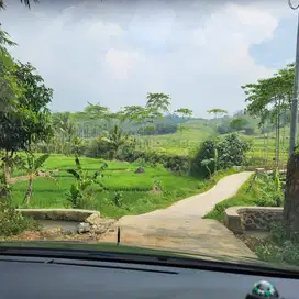 DIJUAL TANAH MURAH DI KAB. BOGOR