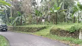 ADA AIR NGALIR || TANAH KEBUN DI PEDESAAN DEKAT SAWAT DAN RUMAH.