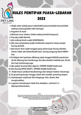 Penitipan kucing jogja, penitipan kucing murah petshop kucing jogja