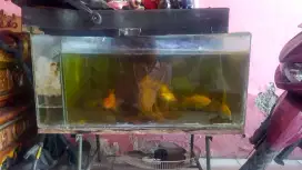Jual aquarium bekas.