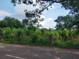 Tanah dijual lokasi pinggir jalan poros provinsi