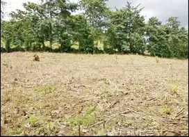 Tanah Kebun 6.781 Bukit Alano Dekat Bilibili, Gowa