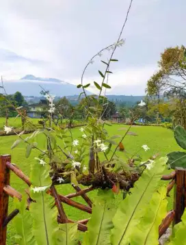 Dijual Gardena Resort Hotel - Cisarua, Bogor