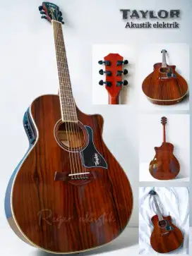 Gitar akustik elektrik Taylor Rosewood