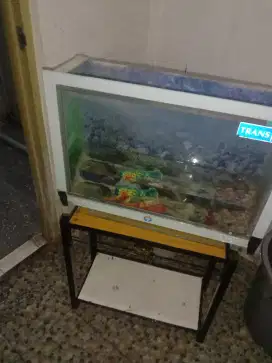 Aquarium model tv LED 60cm x45 cmx10 cm lengkap meja  filter2 lampu