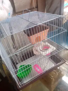 kandang hamster full set