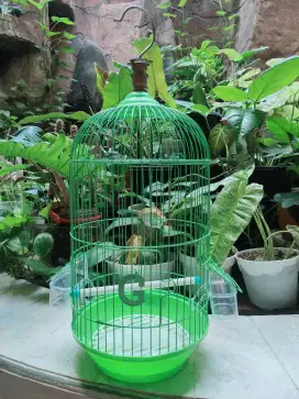 Sangkar burung kecil