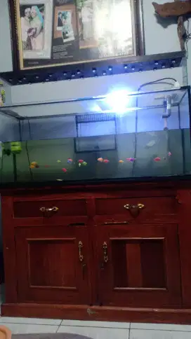 Aquarium Ikan Bekas