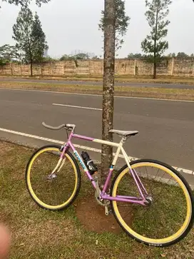 Jual sepeda fixie schwin madison