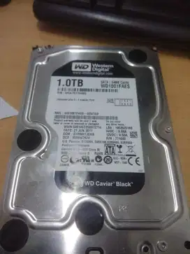 HDD WD Blue 1TB