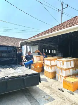 Pusat Grosir Daging Durian Medan Berkualitas