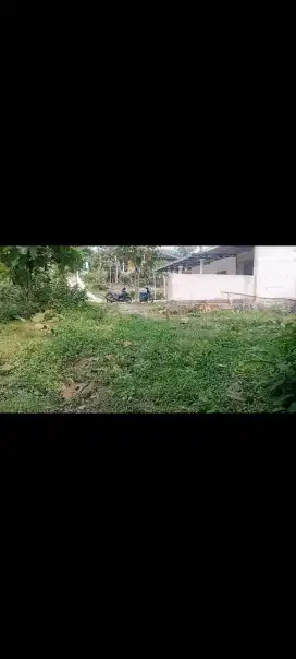 Jual tanah lokasi timur pom bensin ringrud luas 1047m hrg 500rb/mtr ng