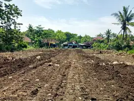 Dijual Tanah Murah, SHM Pekarangan Siap Bangun