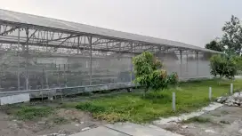 Dijual pertanian hidroponik (greenhouse dan isi nya)