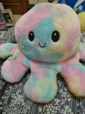 Boneka bolak balik / rainbow , cumi