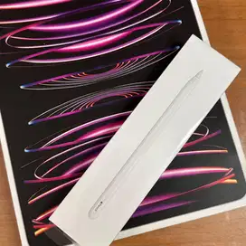 Apple Ipad Pro 12.9 Inch Gen 6 Wifi Only 128 GB