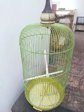 Sangkar Burung Bundar Ijo lumut