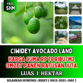 Jual Tanah Kebun Murah Di Bandung