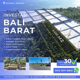 Dijual Tanah Kebun Mangga Dekat Pantai Gerokgak