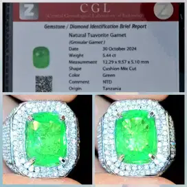 Tsavorite Garnet Tanzania 5.4 Crat