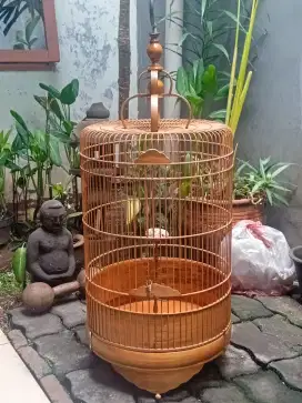 Kandang burung branjangan