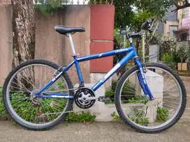 Sepeda MTB Senator ring 26'.