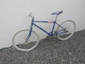 Fixie masih normal minus jok aja