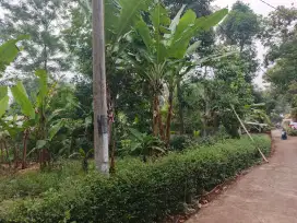 Di jual tanah kebun