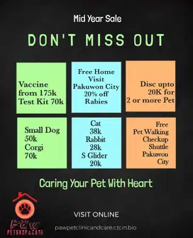 petclinic surabaya
