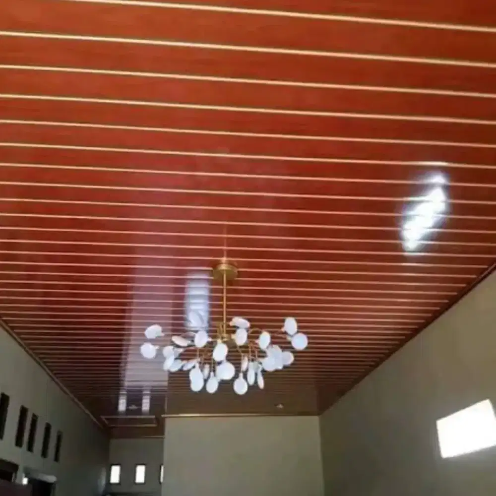 Kanopi plapon pvc moderen