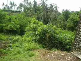 440 sq m of Freehold Land for Sale 20 Minutes from Ubud Center (Jl. Ra