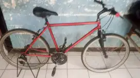 Sepeda model federal uk 26in 7 speed istimewa