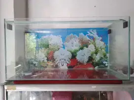 Aquarium ikan hias