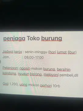 Dicari penjaga toko burung