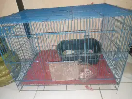 jual kandang kucing