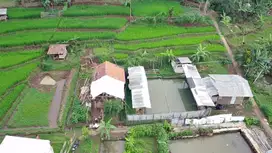 Jual kolam pemancingan murah, luas tanah 308 meter