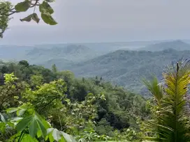 Tanah Murah view indah di kokap Kulon progo