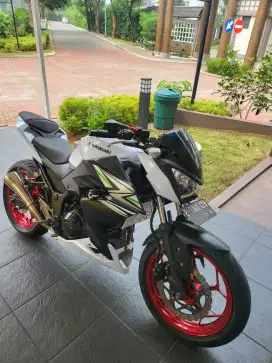 Kawasaki z250 fi 2015