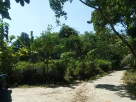 Tanah pekarangan SHM Karangnongko luas 900m