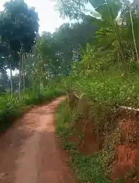 Tanah kebun pinggir jln desa kp ladang sumedang