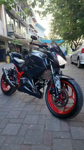 Kawasaki Z250 FI 2013