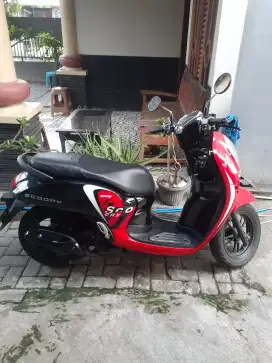 New scoopy 2022