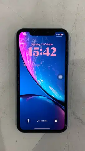 iPhone XR Inter 64GB All Operator