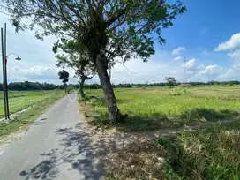 TANAH SAWAH STRATEGIS