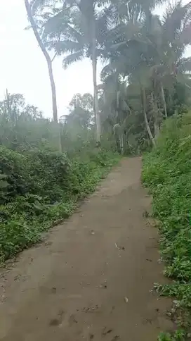 Tanah Kebun Jatisari Tajinan Malang Kabupaten