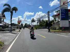 Tanah Pakem Sleman: View Sawah Lingkungan Asri