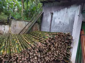 Bambu,petung dan kayu