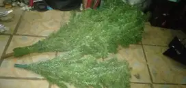 Hiasan sudut rumah pohon natal UK 1m LKP kaki kond bgs cpt murah sj