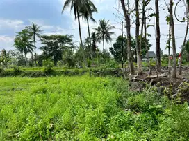 Dijual Tanah Kaliurang Sleman Dekat Jalan Degolan, Shm Pekarangan