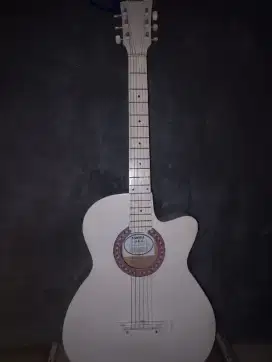 gitar yamaha tipe F-310